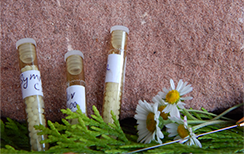 Homeopathie